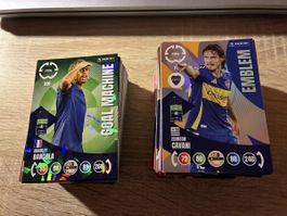 Panini WM 2025 Club 250x Karten ohne Doppelte