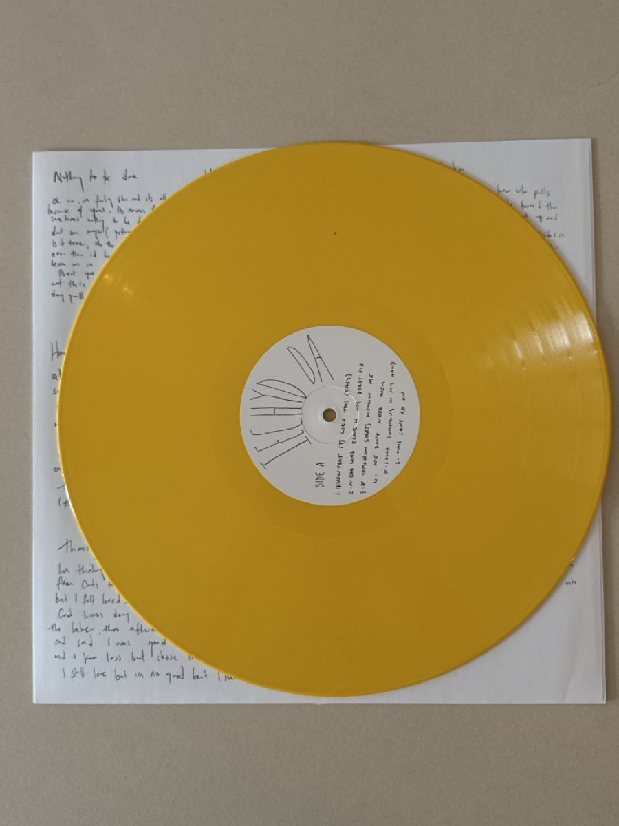 Dischi in vinile: Bill Ryder-Jones Iechyd Da Vinyl – Usato da Zürich venduto da YvesYvesYves 1
