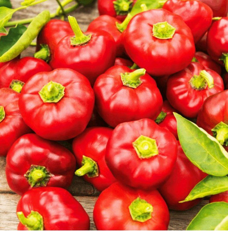 Pflanzen & Samen: Süße Kirschpaprika DUMAS / 5 Samen – Neu (gemäss Beschreibung) aus Hinteregg von ERFOLG78 2