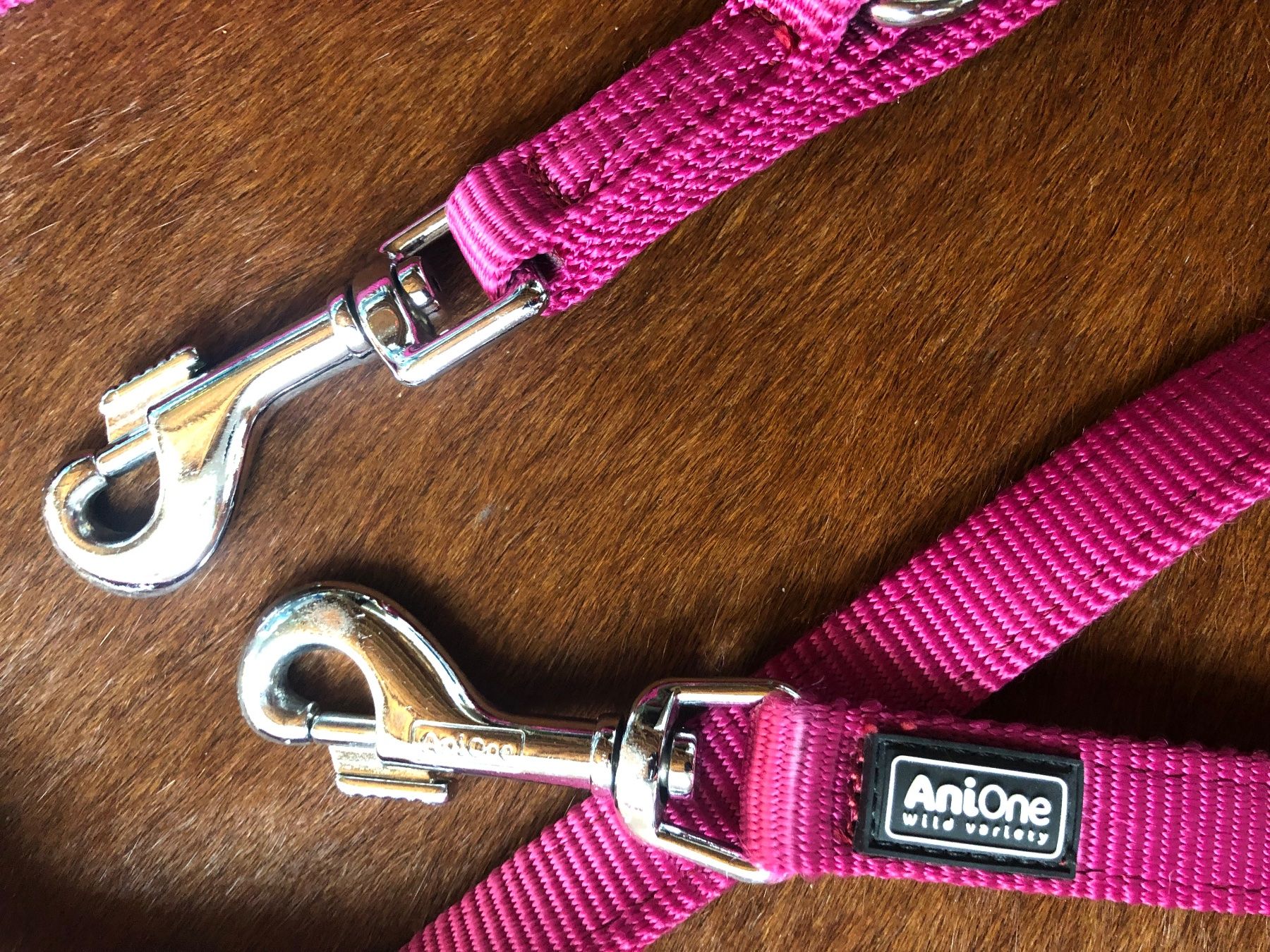 Hundeleine AniOne Pink - fr Hunde bis 44 kg (Neu (gemss Beschreibung)) in  Romanshorn fr CHF 17  nur Abholung auf Ricardo kaufen