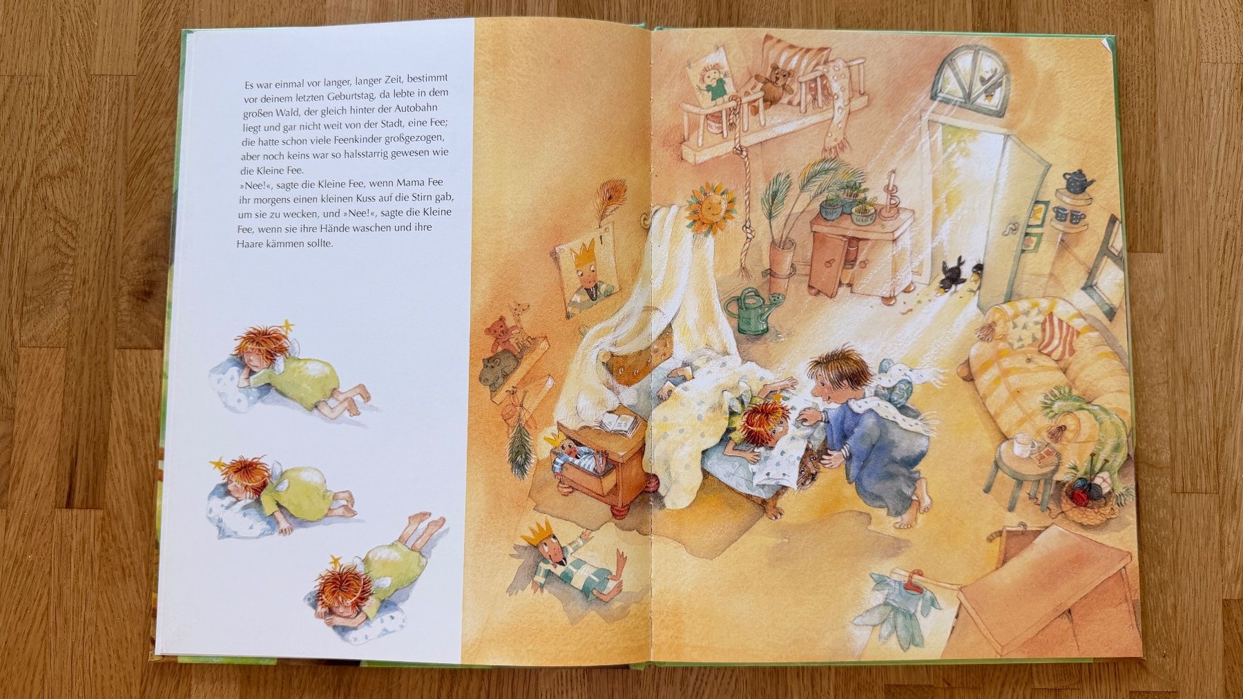 Libri: Buch - Nee! sagte die Fee – Usato da Winterthur venduto da Secondhand-Family 3
