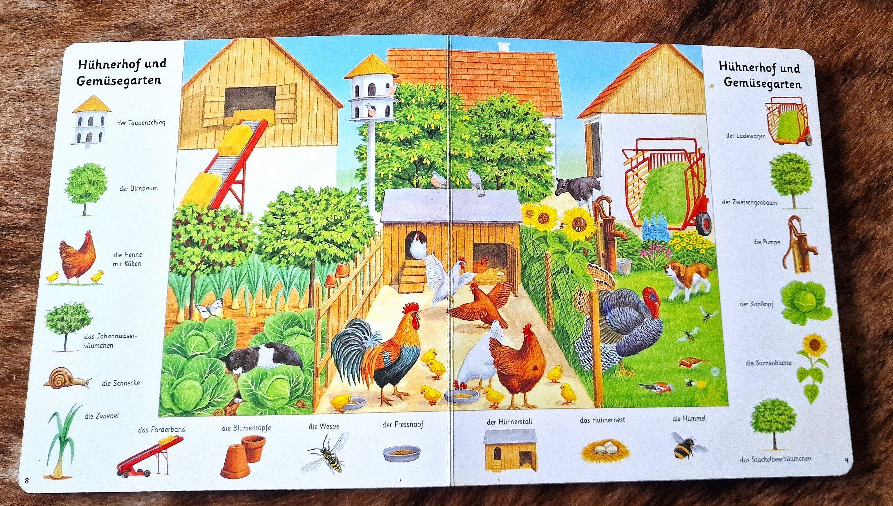 Libri: Kinder Wimmelbuchsammlung 4 Stück – Usato da Hombrechtikon venduto da MalgorzataJ 1