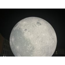 Profile image of titian9