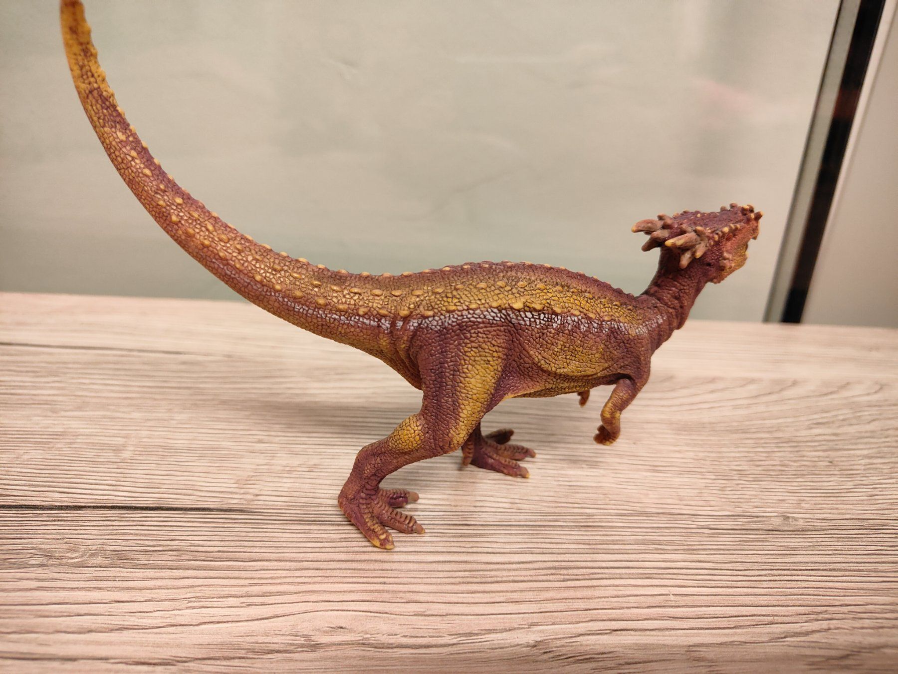 Schleich Statuette: Schleich Dracorex Dinosaurier Pachycephalosaurus – Usato da Thalwil venduto da FigurenFreunde 1