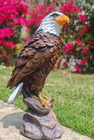 Adler auf Stein (25 cm)