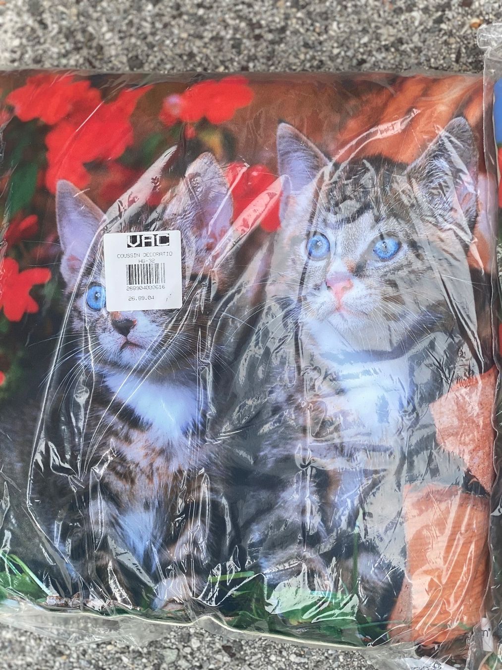 Cuscini: Lot de coussins décoratifs chat – Usato da Chermignon-Bas venduto da mioumiou34 2