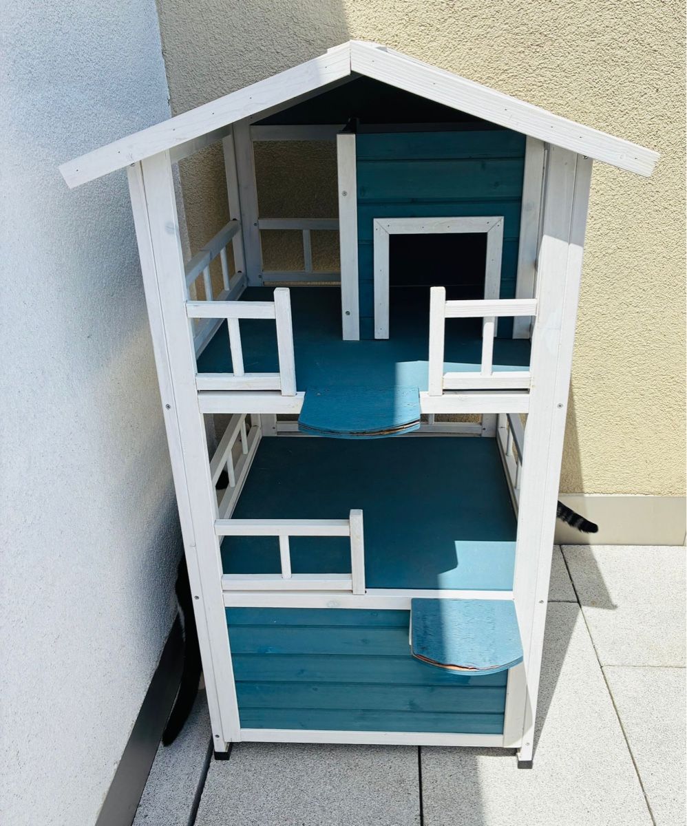 Tiragraffi: Katzen Penthouse – Usato da Aegerten venduto da Bartlii