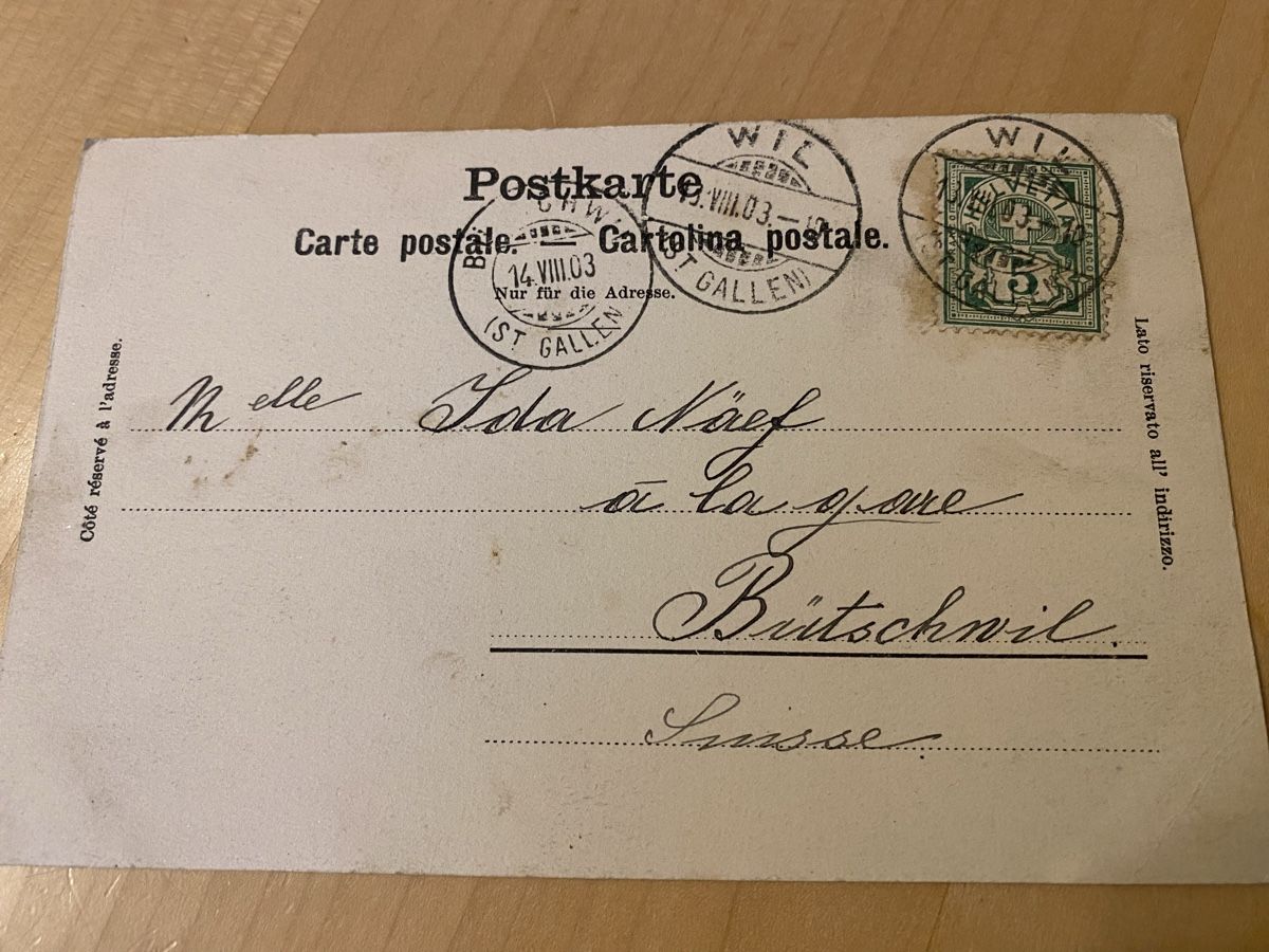 Cartoline postali: Seltene Karte Wil Viehmarkt – Usato da Mosnang venduto da Goldwasser 2