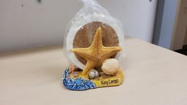 Seestern Untersetzer Set Florida Deko Neu OVP