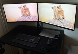 2x HP 27" QHD Monitor, Satechi Hub & Dual-Arm (ab 1.-)