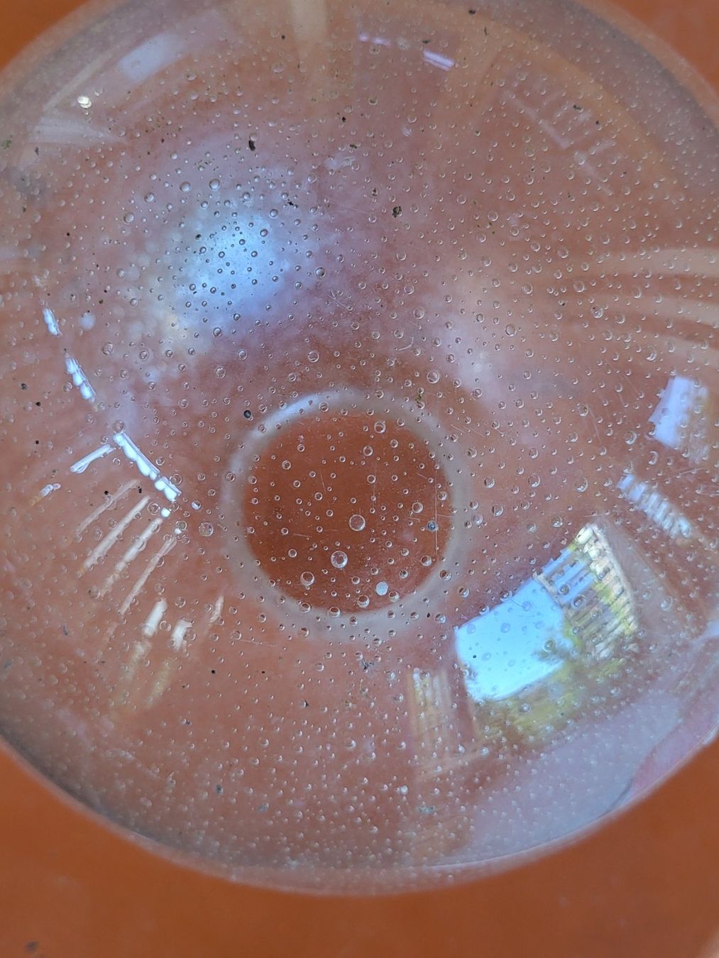 Paralumi: Lampenglas Kugelglas mit Blatern DM ca. 20 cm – Usato da Brügg BE venduto da admawa 2