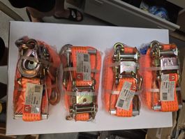 4x Mamitec Zurrgurten 8m 