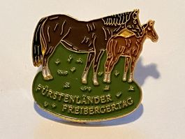 1 Pin Fürstenländer Freibergertag