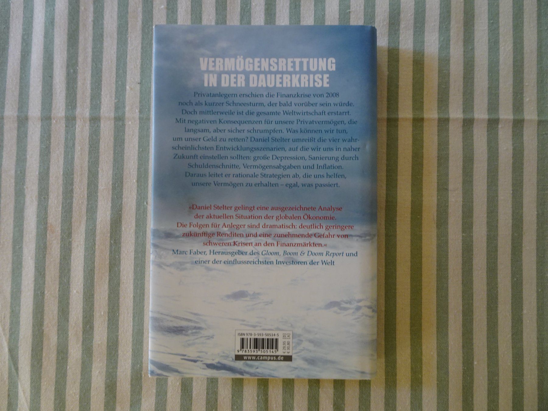 Libri: Daniel Stelter - Eiszeit in der Wirtschaft - B473 – Usato da Küssnacht am Rigi venduto da Bookslove-Divers 1