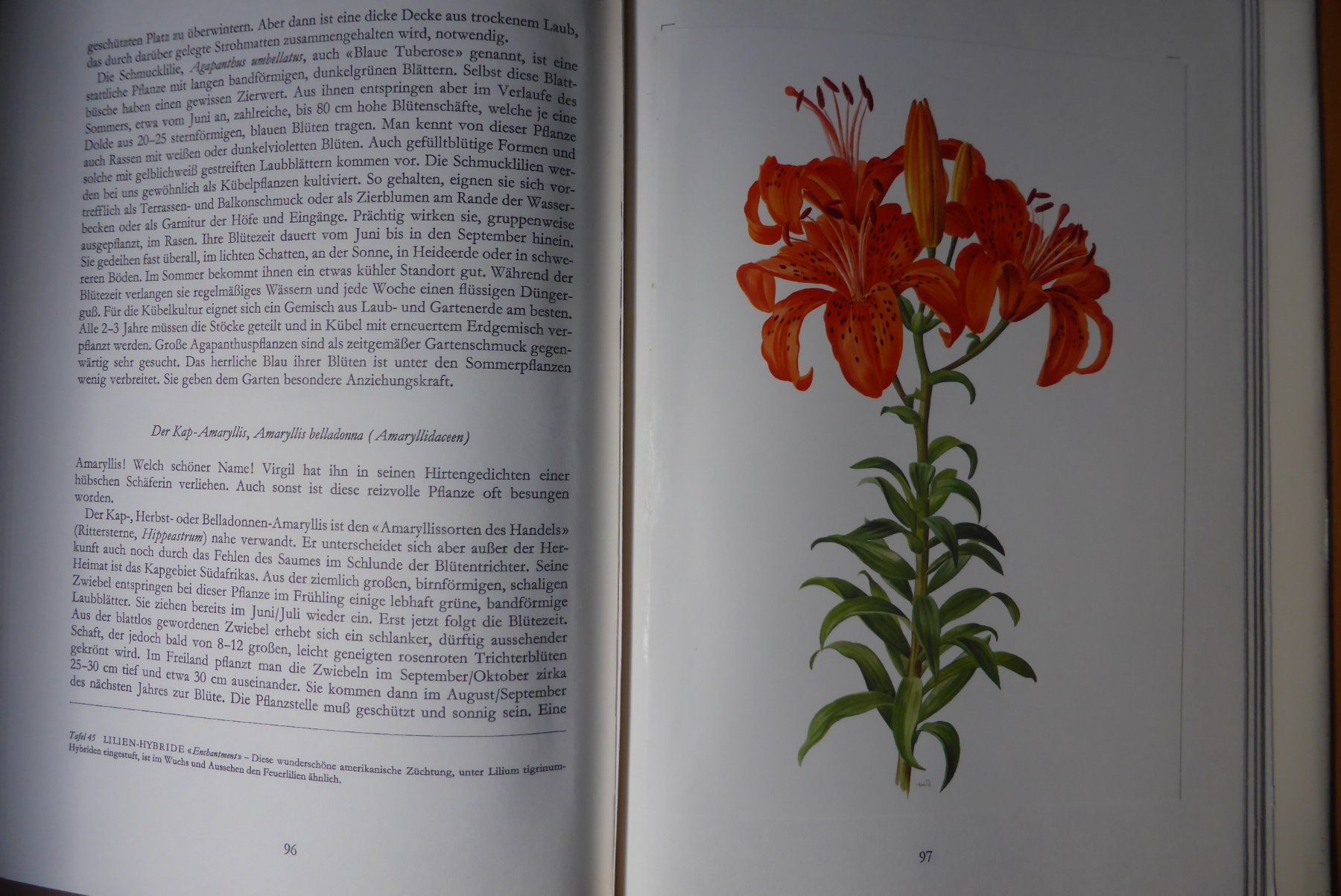 Libri: Wunderwelt der Gartenblumen – Usato da Brunnadern venduto da lesezirkel 4