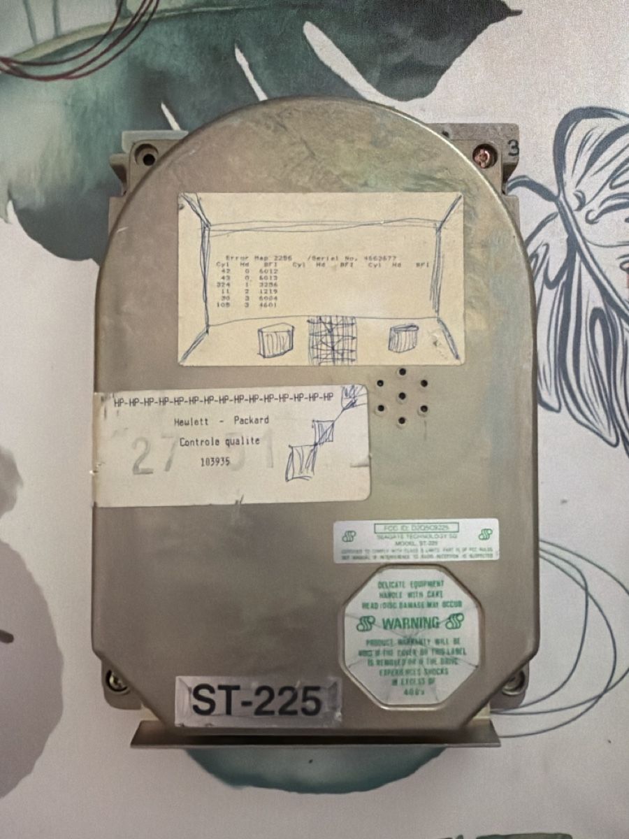 Seagate Dischi rigidi: Disque dur Winchester  – Difettoso da Martigny venduto da capri2800