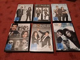 DVD Bones Season (Staffel ) 1 - 6 , Deutsch , Englisch