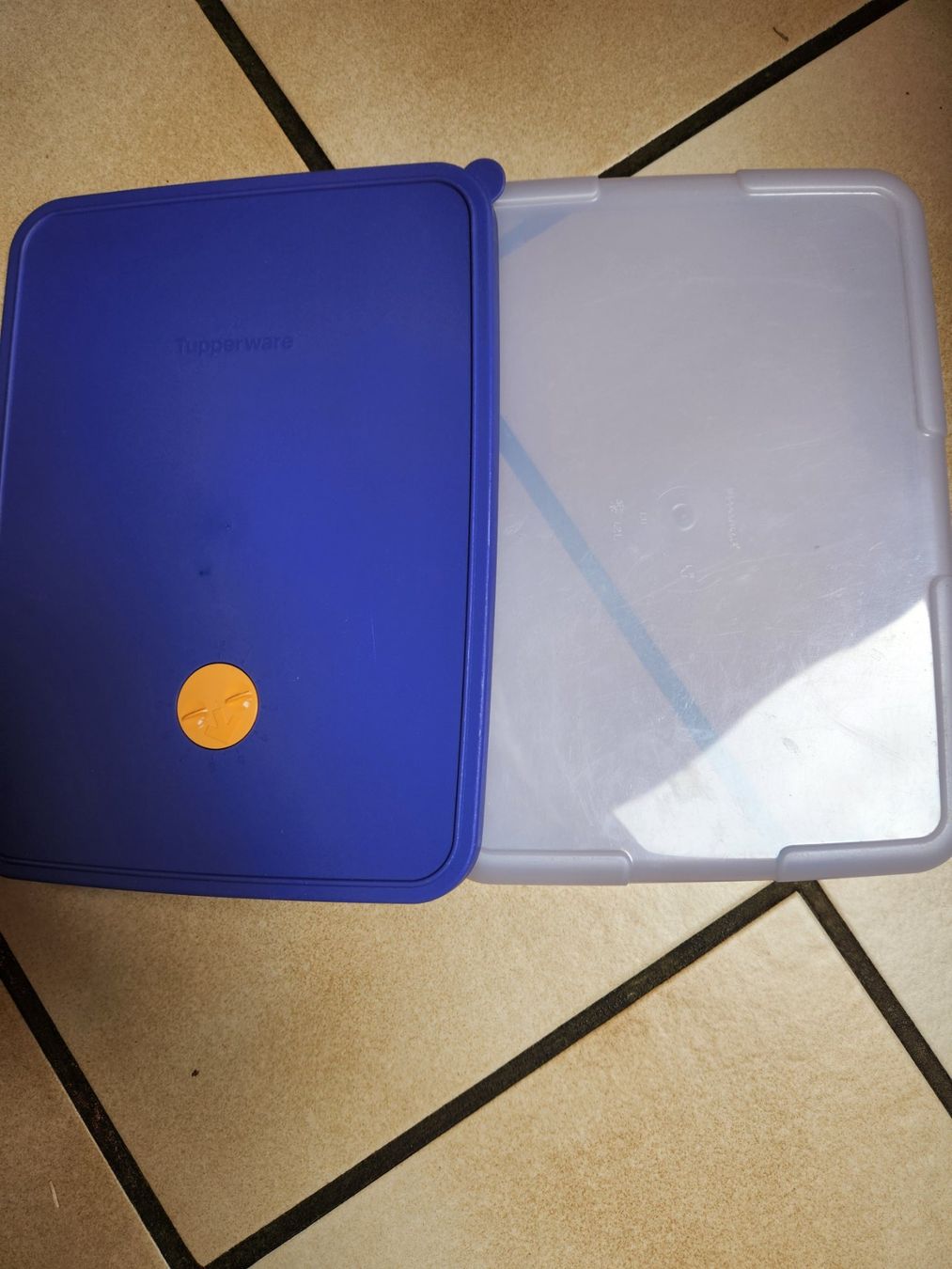 Tupperware Contenitori & Simili: Tupperware Kühlschrank/Tiefkühlbehälter – Usato da Gstaad venduto da Meiel2020 2