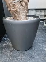 Blumentopf 60cm Durchmesser inkl. Substrat und Wasseranzeige
