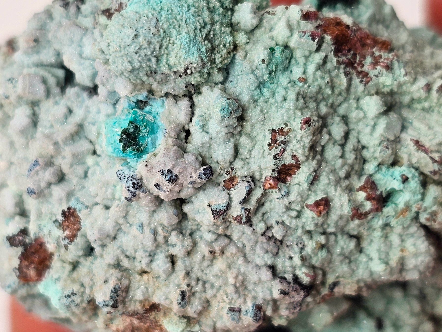 Minerali & Pietre curative: RaRe Euchroite on Chrysocolla, Mürtschenalp, Glarus – Usato da Figino venduto da minshop 3