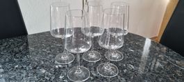 5er Set elegante Weissweingläser, neu!