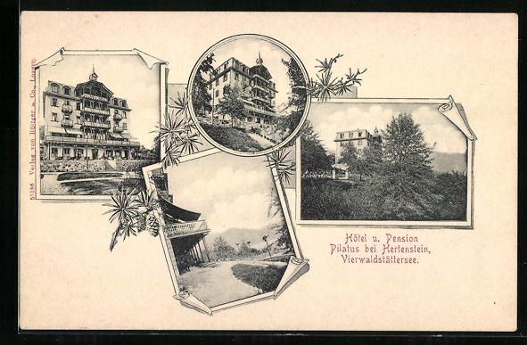 Ansichtskarten: Hertenstein /Vierwaldstättersee, Hotel  – Gebraucht aus Berlin von bartko-reher