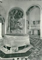 Riva S. Vitale