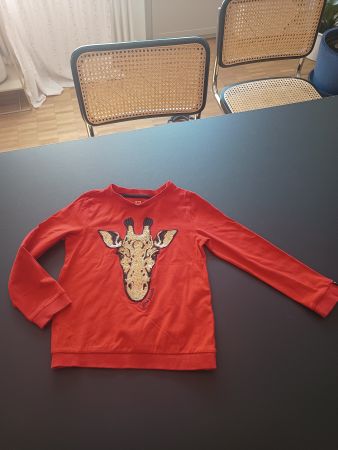 Gr. 110/116 WE Pulli