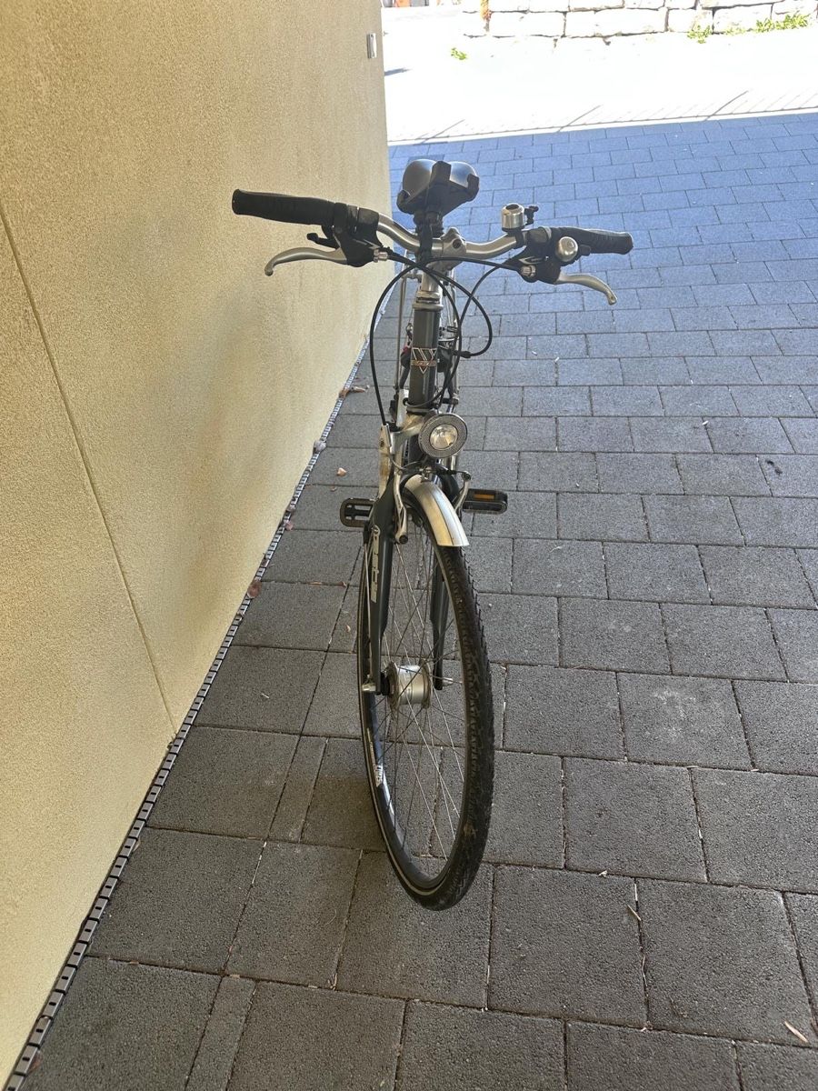 Wheeler Biciclette: Wheeler 2.3 Ecorider – Usato da St. Antoni venduto da SonnyCrocket92 3