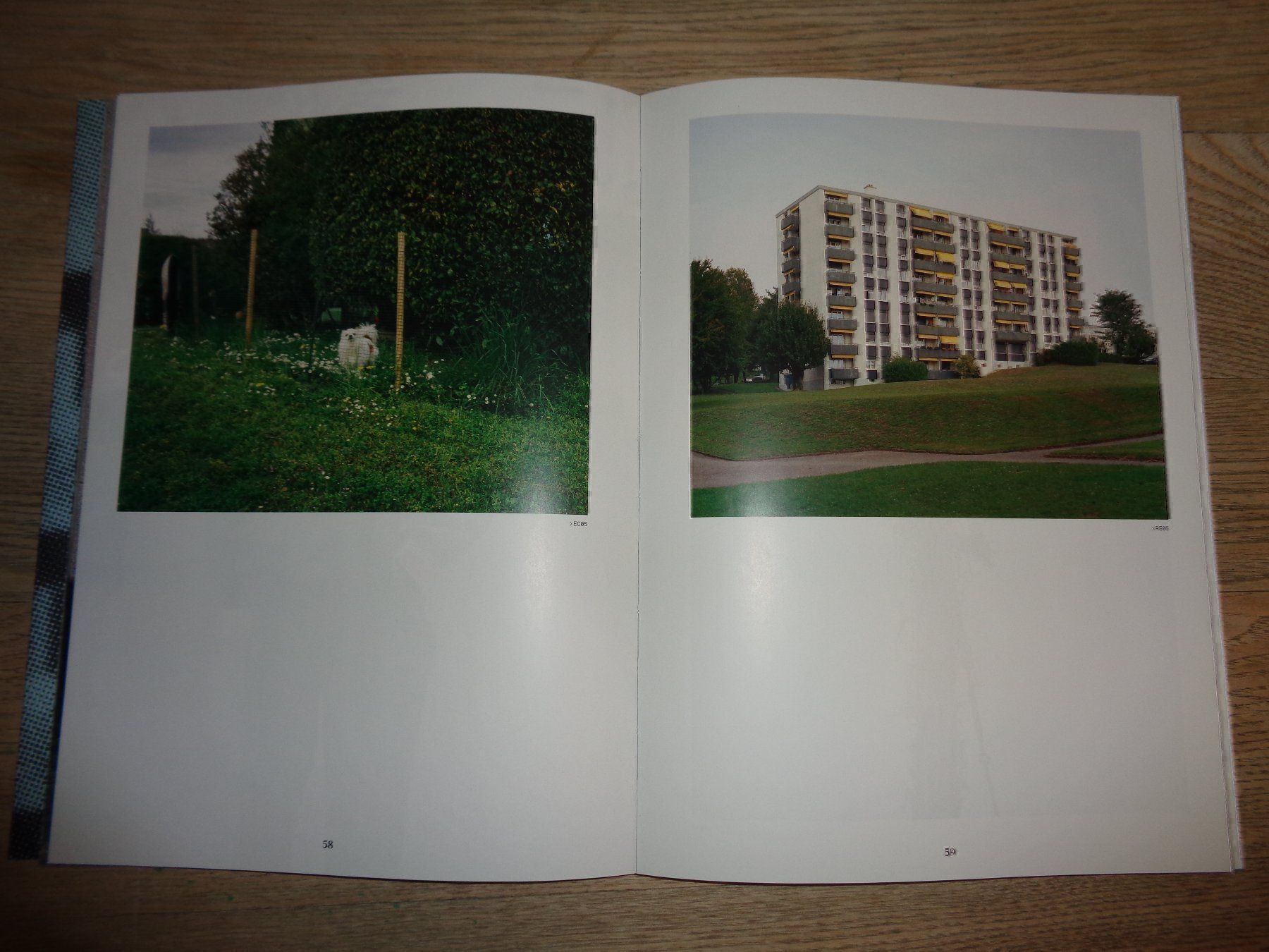 Libri: Un Paysage Modernite Architektur tip – Usato da Welschenrohr venduto da Regool