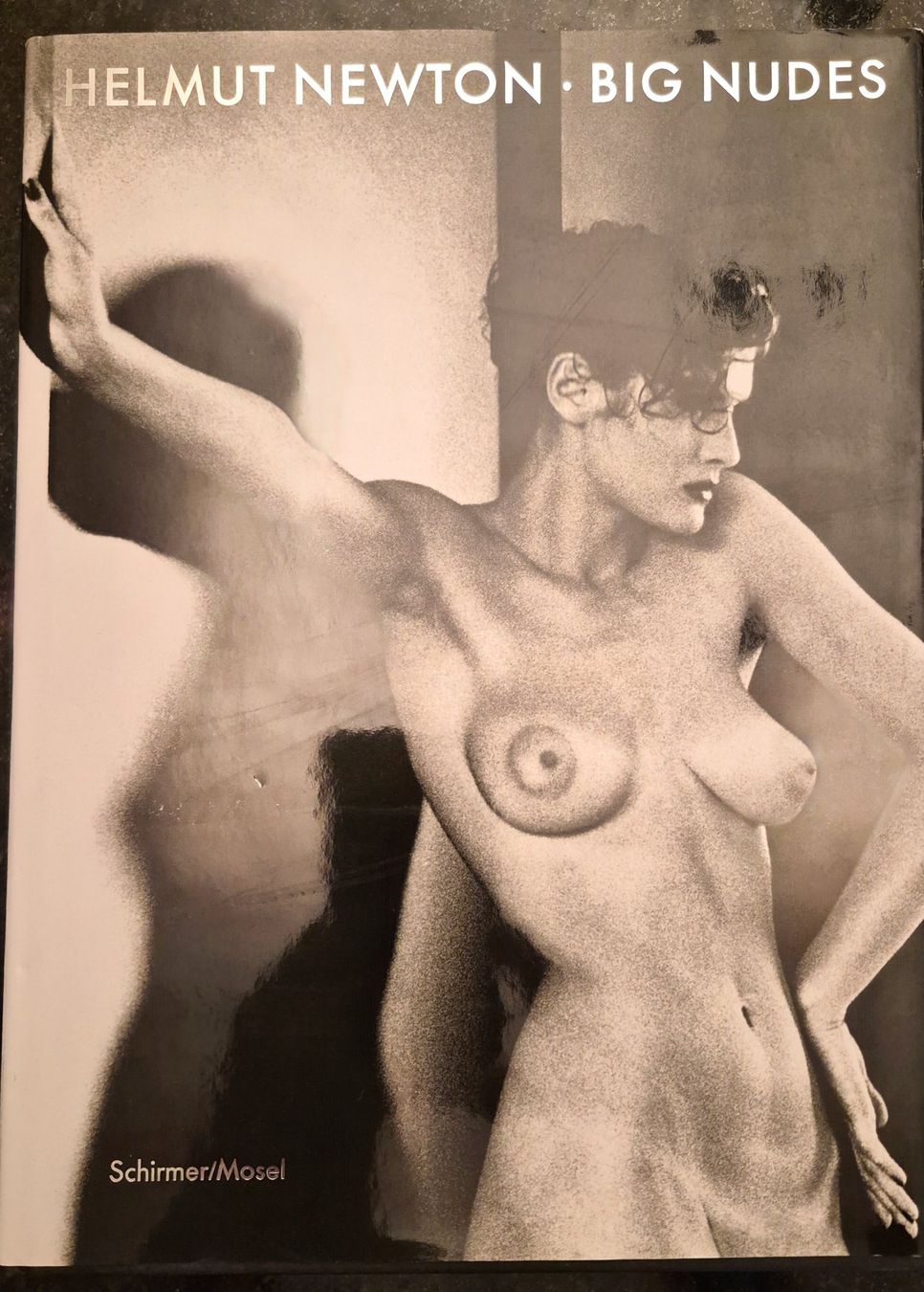Libri: Helmut Newton - big nudes – Usato da Fläsch venduto da maergi11