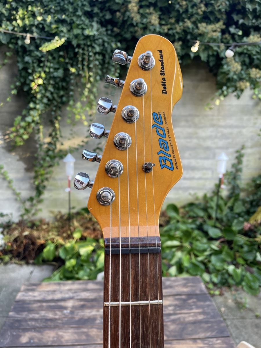 Blade Strumenti musicali: Blade Delta Standard E-Gitarre Vintage Telecaster style – Usato da Wallisellen venduto da aka-z76 3