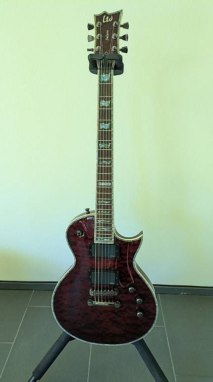 Instruments de musique: LTD EC1000 E-Gitarre – D'occasion à Aarau Rohr par Roemu01