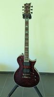LTD EC1000 E-Gitarre