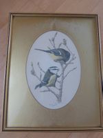 handkolorierter Vintage-Vogeldruck- John Morland Glastonbury