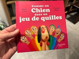 Livre enfant - comme un chien dans un jeu de quilles