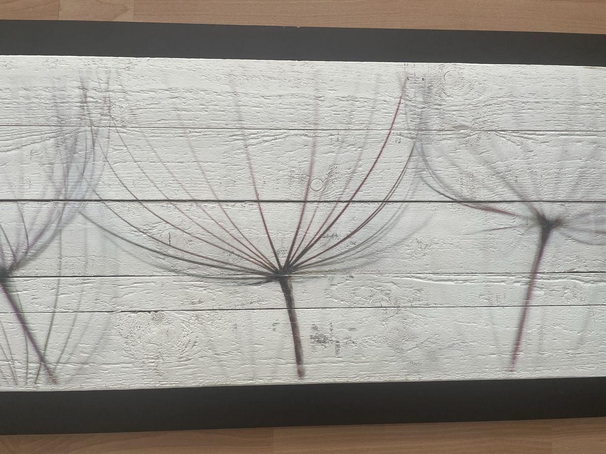 Foto & Immagini: Holz-Bild-Pusteblume – Usato da Amriswil venduto da einkaufverkauf 2