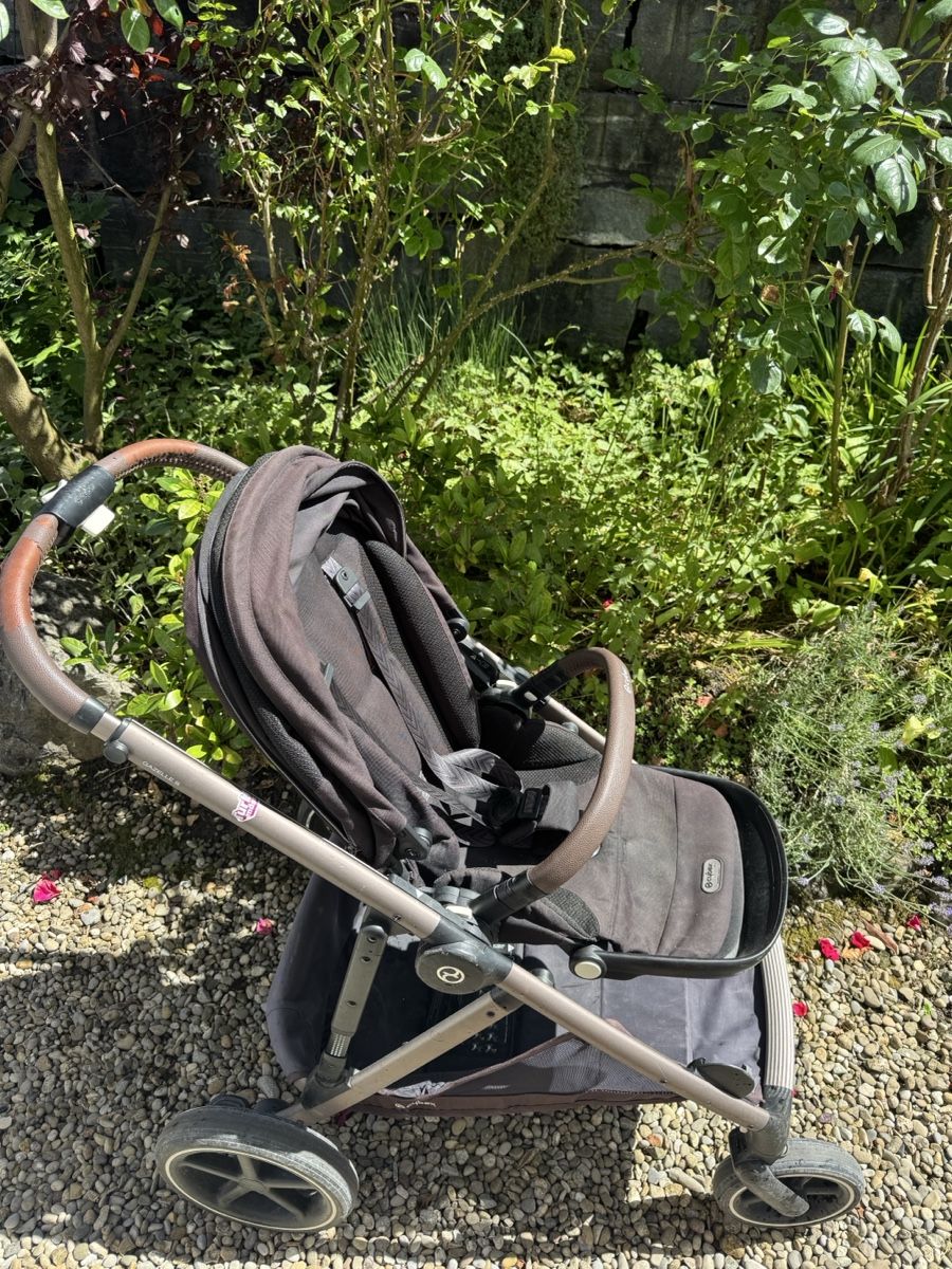 Cybex Carrozzine: Cybex Doppelkinderwagen Gazelle S – Usato da Hinwil venduto da car_2qfh