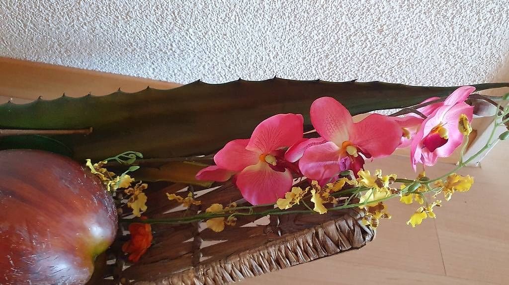 Toutes les décorations: Wunderschöne Deko – D'occasion à Bubikon par Mis_nl7l 2