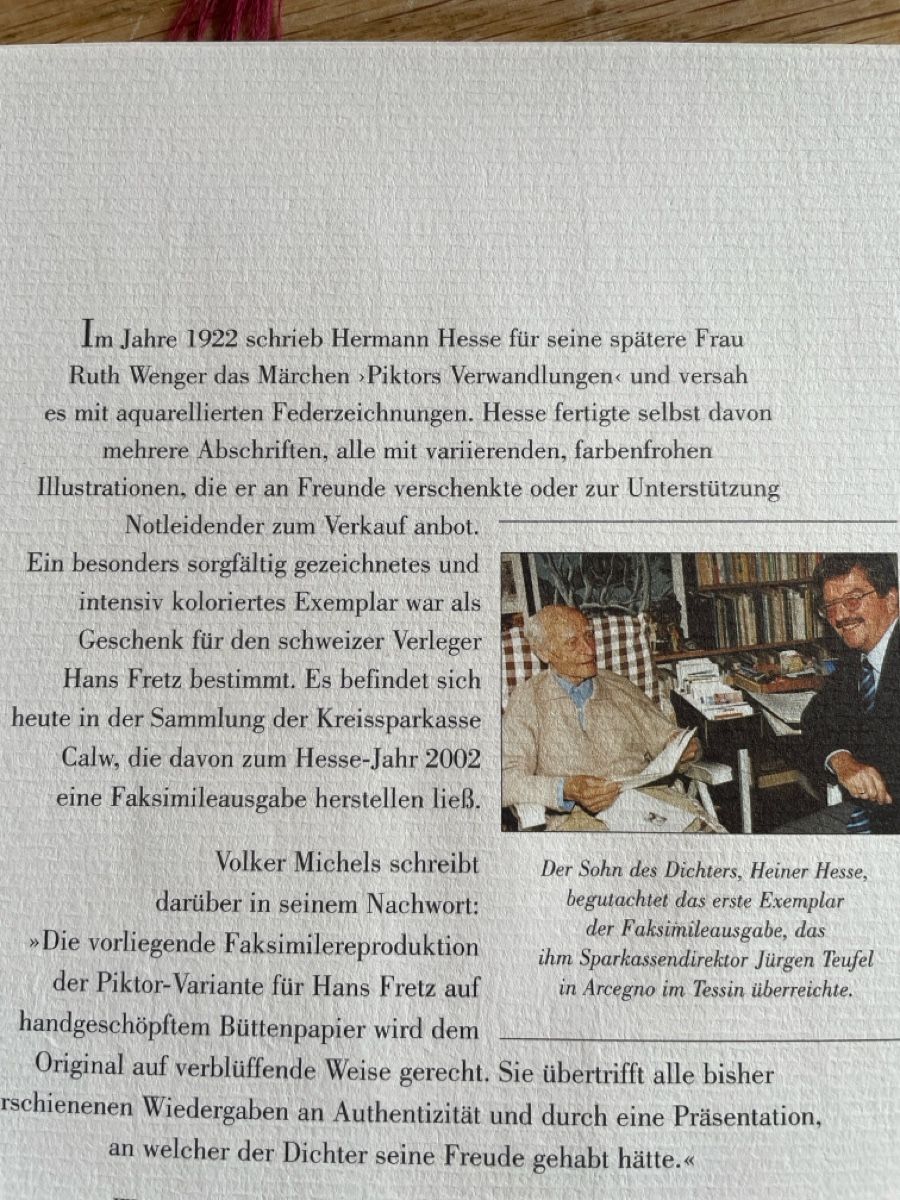Libri: Hermann Hesse, Piktor’s  Verwandlungen – Usato da Freidorf TG venduto da ibipatria 2