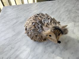 WITZIGER IGEL