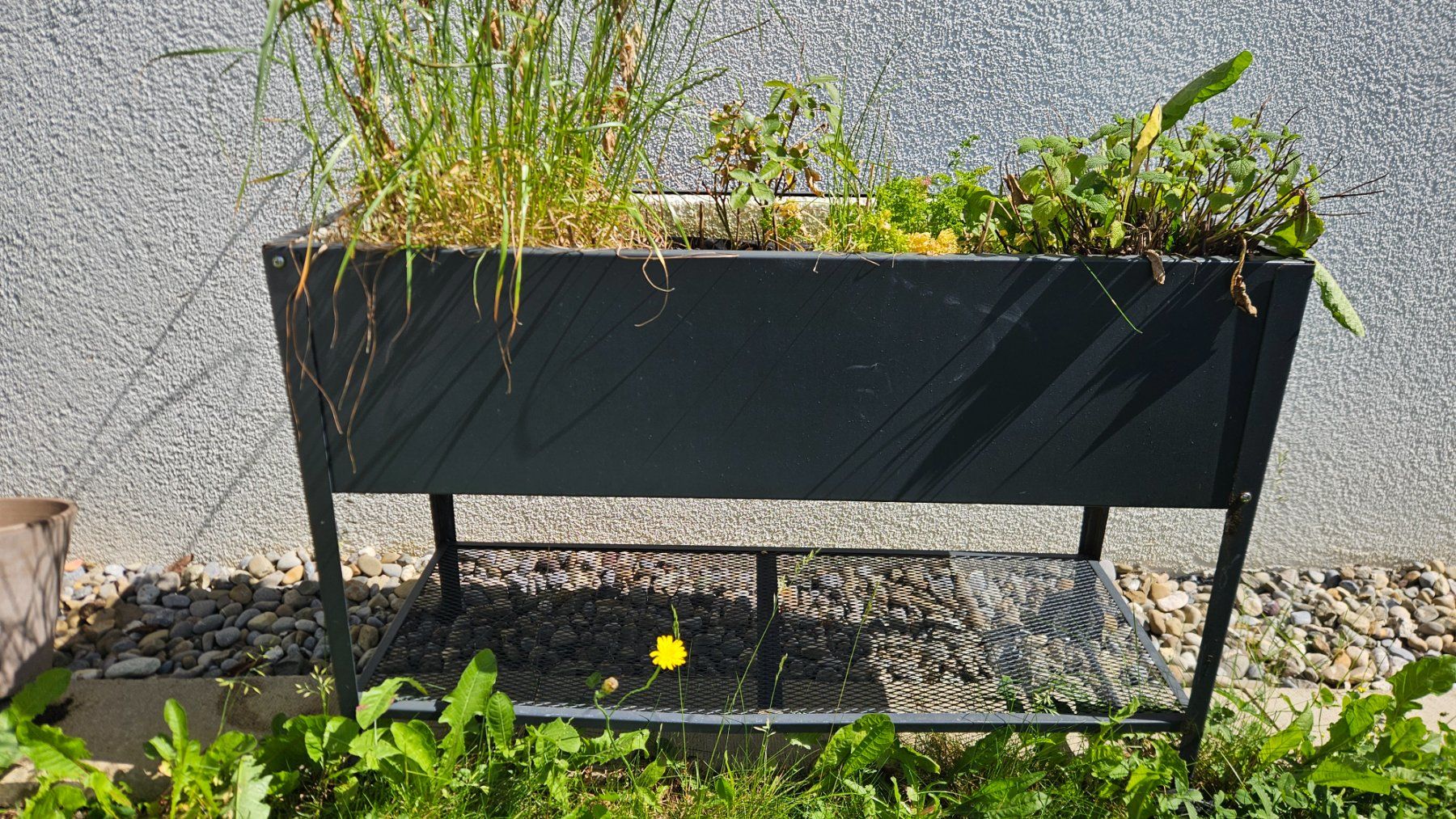 Vasi per fiori: Hochbeet Metall – Usato da Bassersdorf venduto da Sunseekker1 1