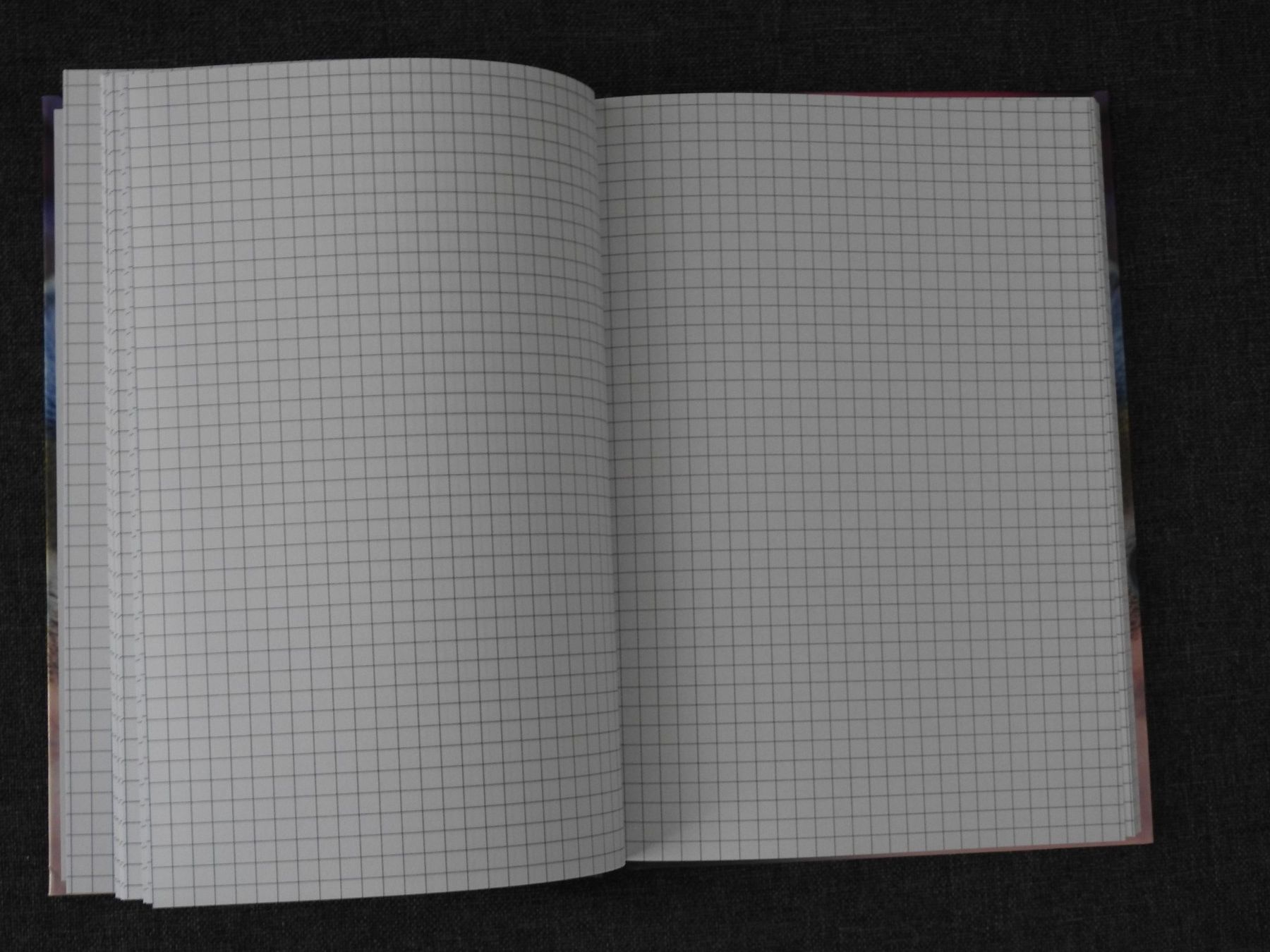 Libri: Notzibuch Katze – Nuovo (secondo la descrizione) da Otelfingen venduto da Schlaedde 1