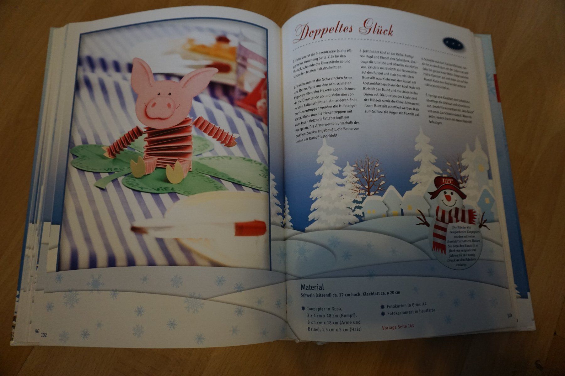 Libri: Winterlicher Bastelzauber/Bastelbuch – Usato da Zürich venduto da einalemjena 2