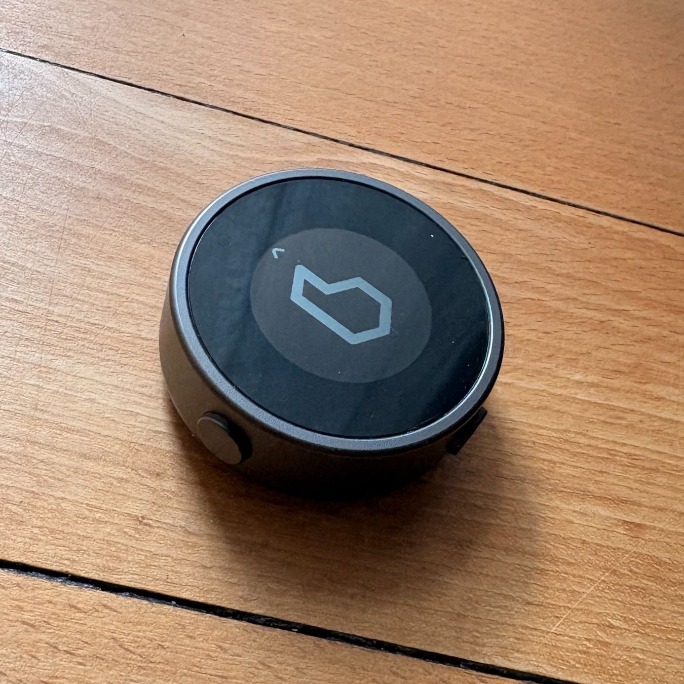 Beeline Navigatori: Beeline Moto GPS - Gunmetal Edition – Usato da Bern venduto da vellocet 1