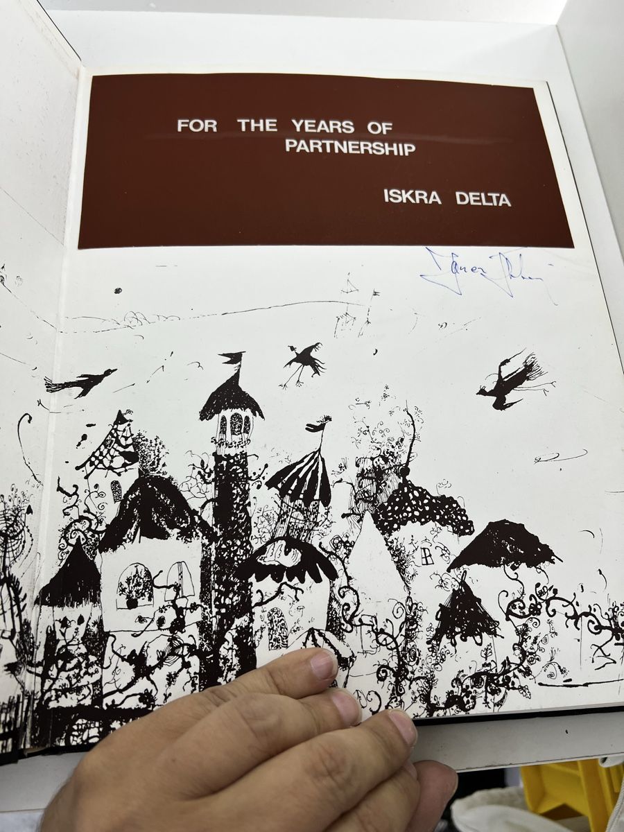 Libri: Mersad Berber – Usato da Wettingen venduto da NickInc 1