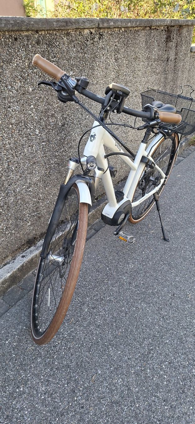Cresta Velos: E-Bike 25km/h Cresta – Gebraucht aus Winterthur von rod_pb65 1
