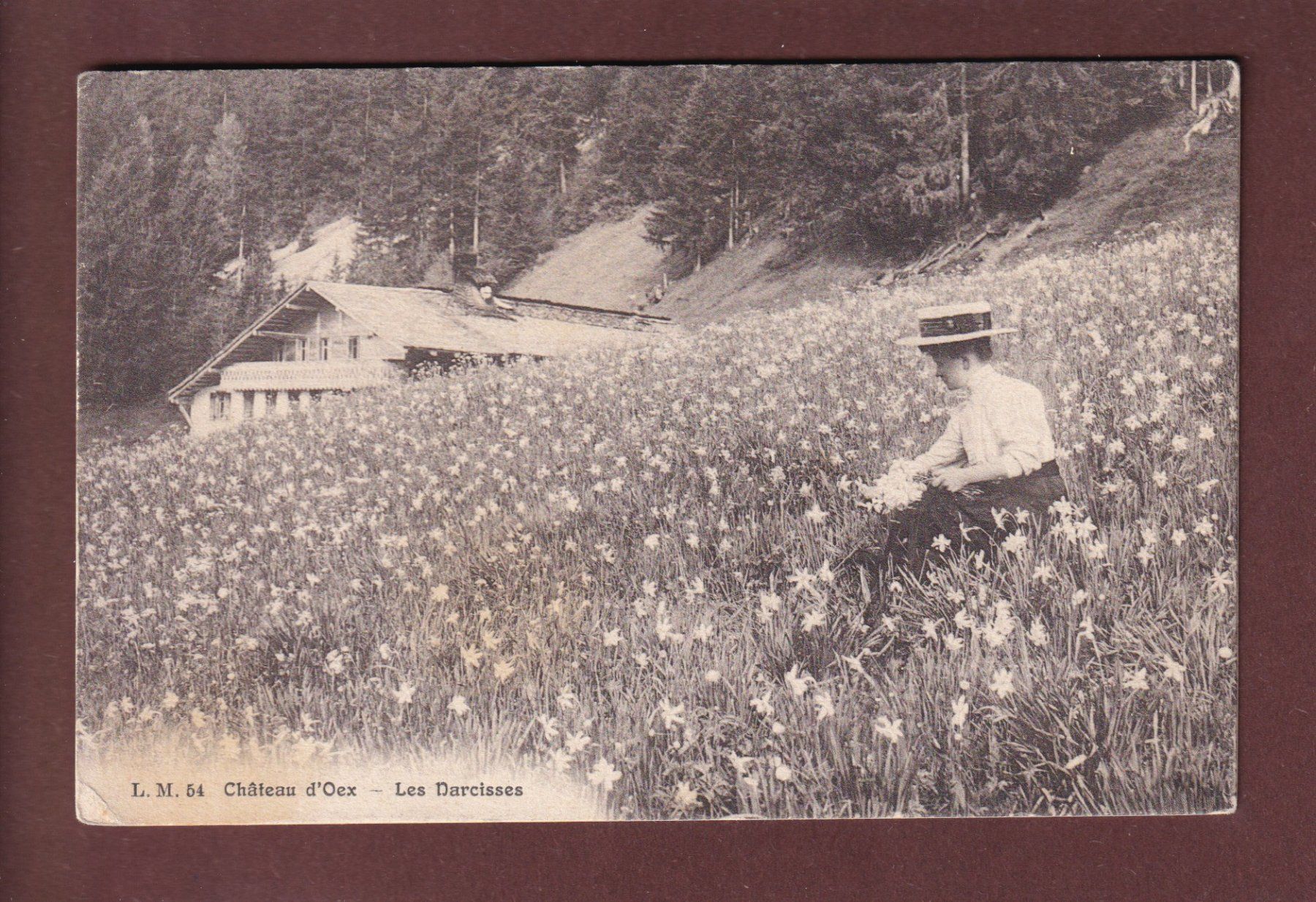 Cartoline postali: CHÂTEAU D'OEX - Les Narcisses – Usato da Pully venduto da nicecards