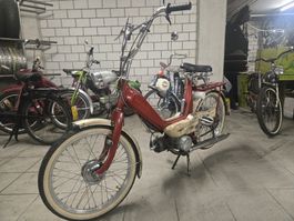 Schöner Caffe Racer Sachs Kristall 501/A