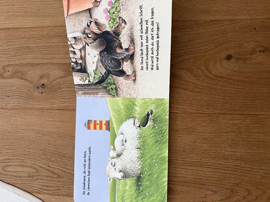 Libri: Kinderbuch Huckepack Tiere – Usato da Lüterkofen venduto da GiCa_ 2